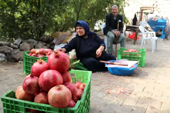 Şanlıurfa'da köylüler hibe makineyle 