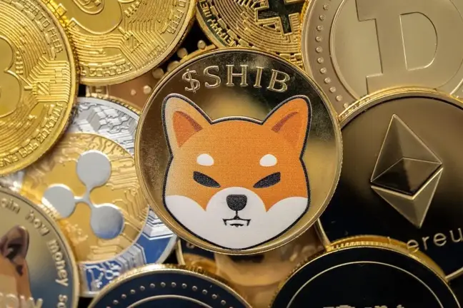 EverGrow Coin ve HUH Token potansiyel altcoinlere yeni nesil çözüm