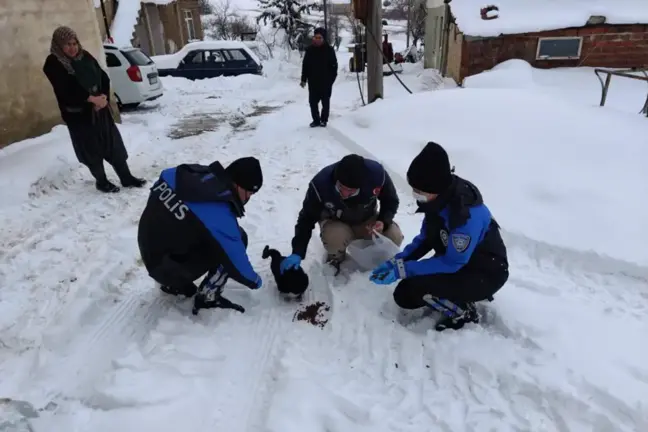 Son dakika haber... Elazığ'da polis ekiplerinden sokak hayvanlarına yem ve mama desteği
