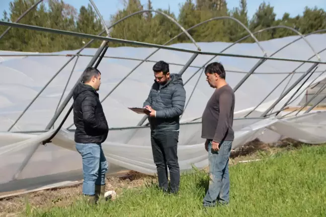 Serik'te hortum ve sağanaktan etkilenen seralarda hasar tespiti yapılıyor