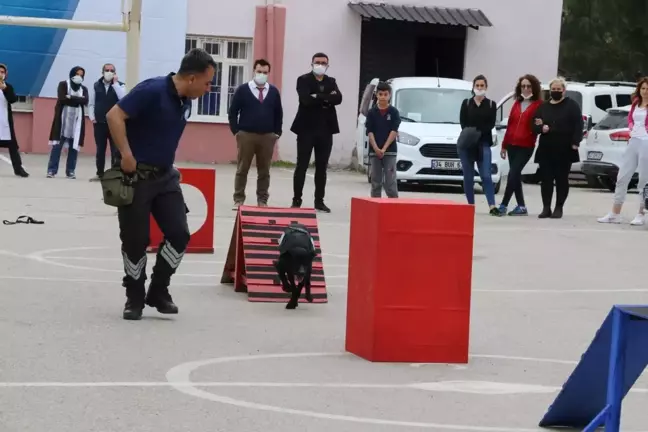 Can Dostumuz Asel, Yeni Yuvasında