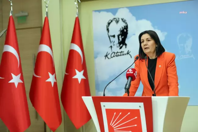CHP'li Karabıyık:
