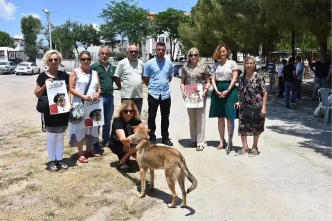 'Köpek' tartışmasında 3 kişinin öldürüldüğü sokakta can dostlarını beslediler