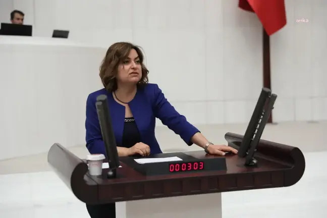 Hdp'li Koçyiğit'ten Bakan Ersoy'a: