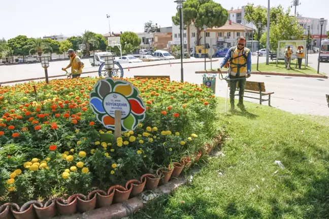 Aydın Büyükşehir Belediyesi'nden Sultanhisar'da Yaz Temizliği