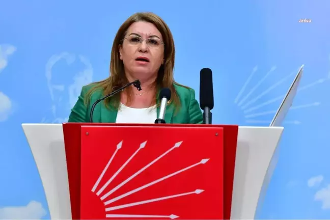 Gülizar Biçer Karaca: