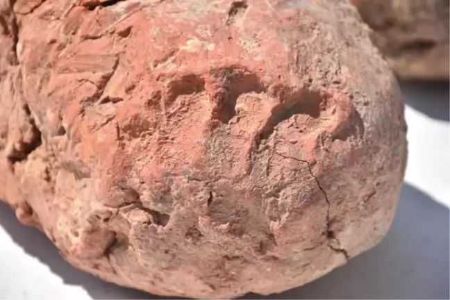 8000 years old fingerprints found in Ulucak Mound in Izmir