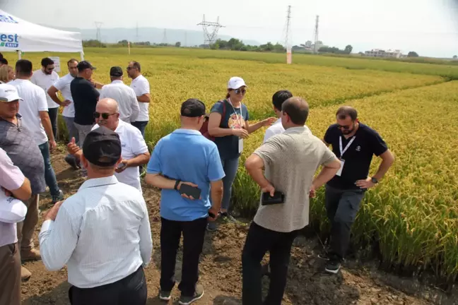 Balıkesir'in Gönen ilçesinde çeltik üreticileri ile sektör paydaşları bir araya geldi