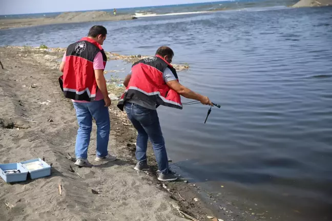 Son Dakika | Hatay'da balık ölümleri görülmesi üzerine inceleme başlatıldı