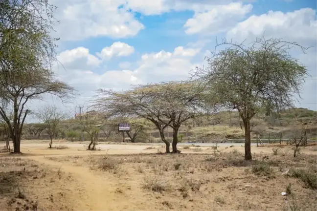 Kenya'da Kuraklık Hayvancılıkla Geçinen Maasaileri Vurdu