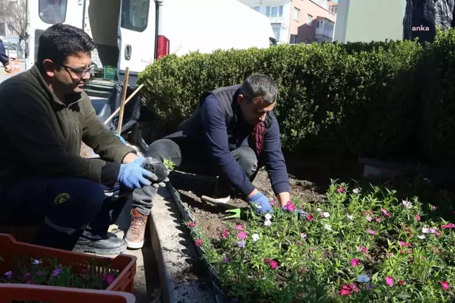 Yenimahalle Belediyesi, Park ve Yeşil Alanları Yaza Hazırlıyor