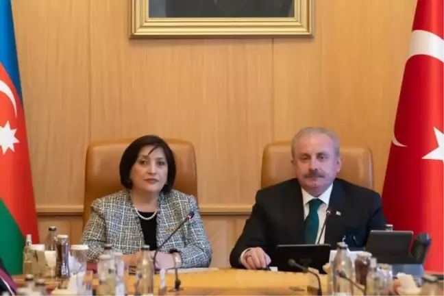 TBMM Başkanı Şentop, Azerbaycan Milli Meclisi Başkanı Gafarova ile görüştü