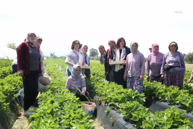 Aydın'da Selvi Kılıçdaroğlu ve Özlem Çerçioğlu emekçi kadınlarla buluştu