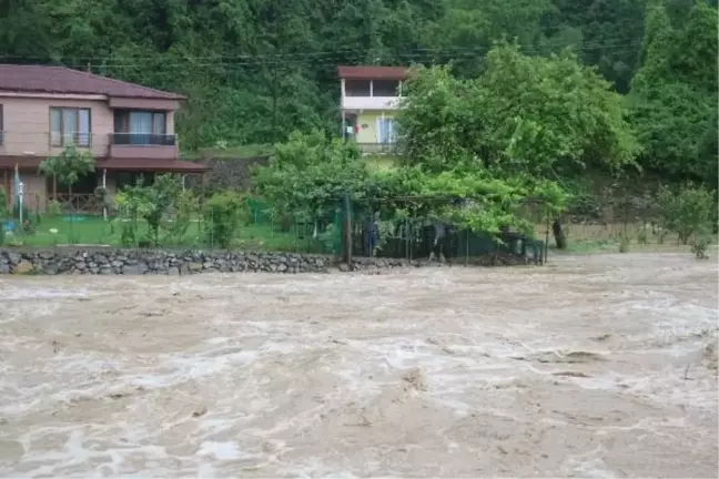 Zonguldak'ta Kuvvetli Yağış: Dereler Yükseldi, Yollar Kapandı