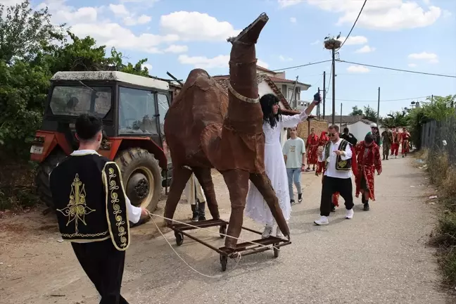 Batı Trakya'da Deve Oyunu Geleneği Yaşatılıyor