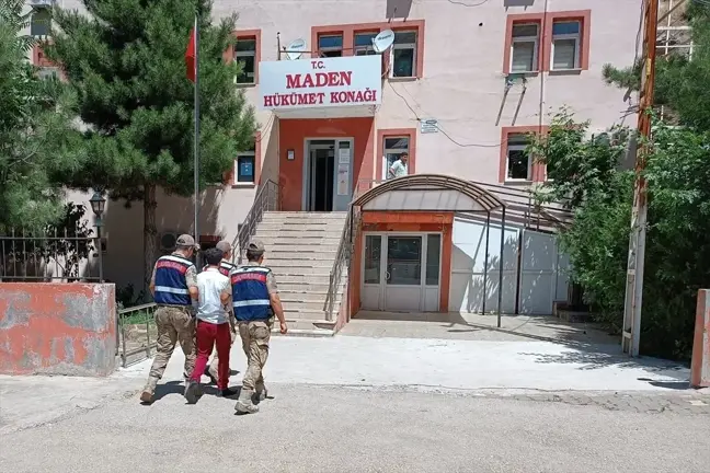 Elazığ'da Büyükbaş Hayvan Hırsızı Tutuklandı