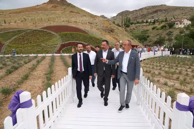 Meram Belediyesi tarafından Dere Mahallesi'nde 20 bin metrekarelik lavanta bahçesi açıldı