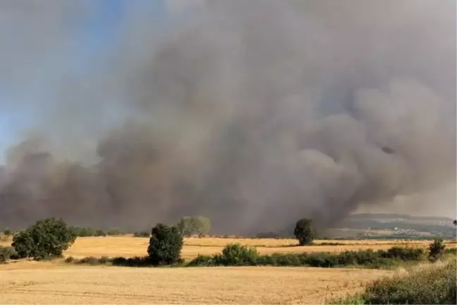 Keşan'da Buğday Ekili Arazide Yangın Çıktı
