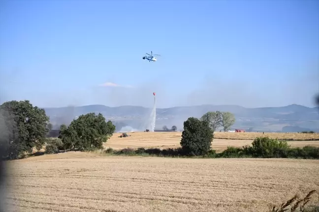 Keşan'da 1200 Dönüm Buğday Ekili Alan Yangında Zarar Gördü