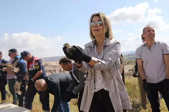 Nevşehir'de 600 Kınalı Keklik Doğaya Bırakıldı