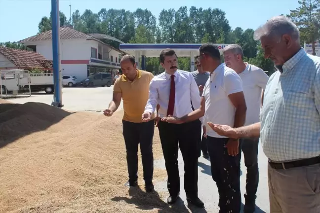 Tokat'ın Pazar ilçesinde buğday ve arpa hasadı başladı