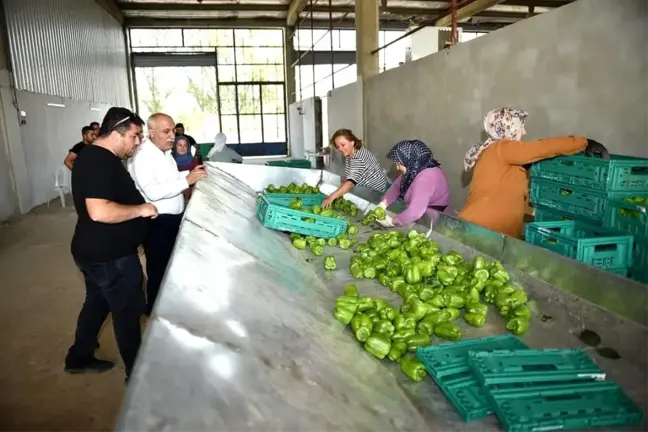 Yenişehir Belediyesi Sebze İşleme ve Paketleme Tesislerine Yeni Makineler Kazandırdı