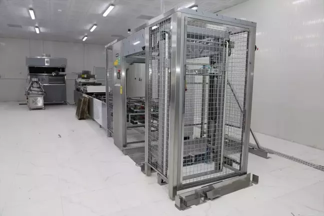 Afyonkarahisar Belediye Başkanı Mehmet Zeybek, Halk Ekmek Fabrikası'nın İnşaat Çalışmalarını İnceledi