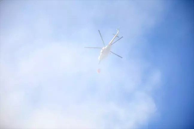 Sakarya'nın Taraklı ilçesinde ormanlık alanda çıkan yangın kontrol altına alındı