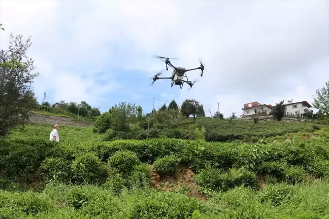 Rize'de Zirai Dron ile Çay Bahçesine Sıvı Gübre Uygulandı