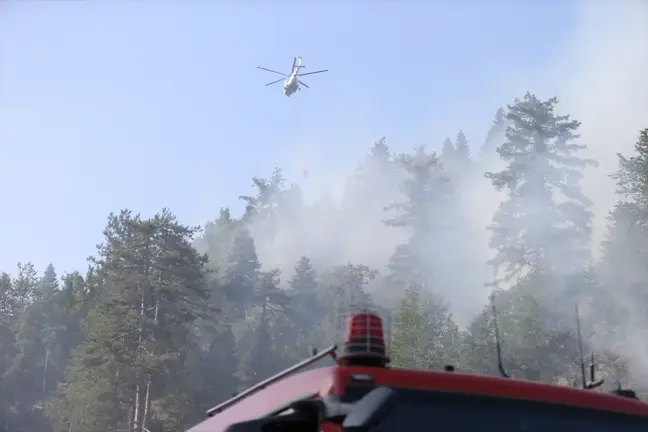 Kahramanmaraş'ta Orman Yangını Kontrol Altına Alındı
