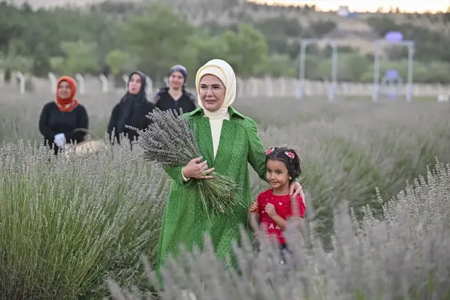 Emine Erdoğan, Ankara'da Ekolojik Köy ziyareti ve lavanta hasadı yaptı