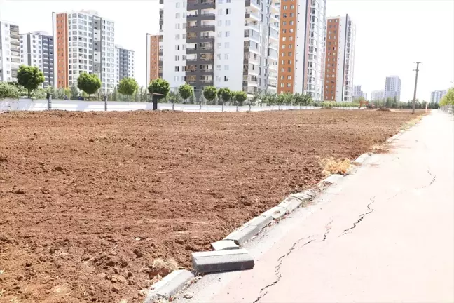 Diyarbakır Büyükşehir Belediyesi Mezopotamya Bulvarı'nda Yeşil Kuşak Oluşturuyor