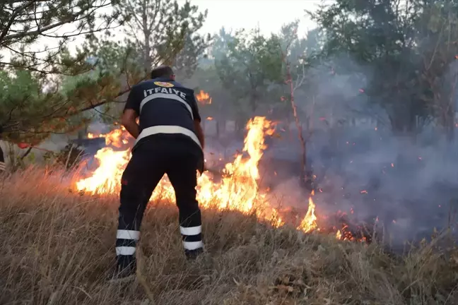 Kars'ta Üniversite Yerleşkesinde Çıkan Ağaçlık Yangını Söndürüldü