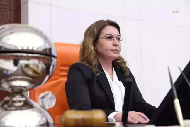 Gülizar Biçer Karaca: