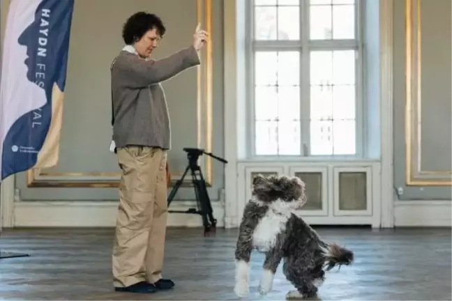 Kopenhag'da köpeklerin eşlik ettiği klasik müzik konseri
