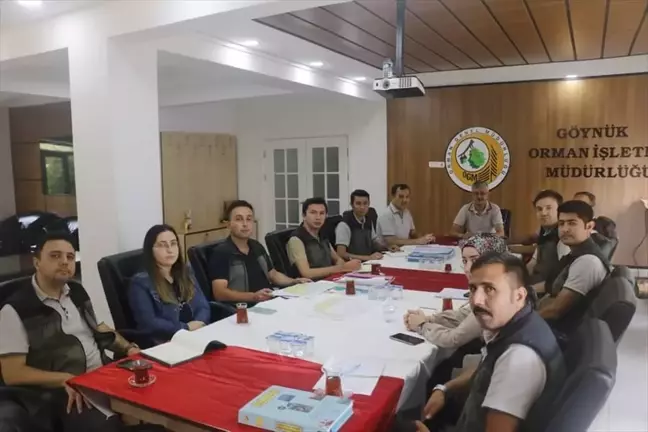 Göynük'teki yangın alanları yeniden yeşillendiriliyor