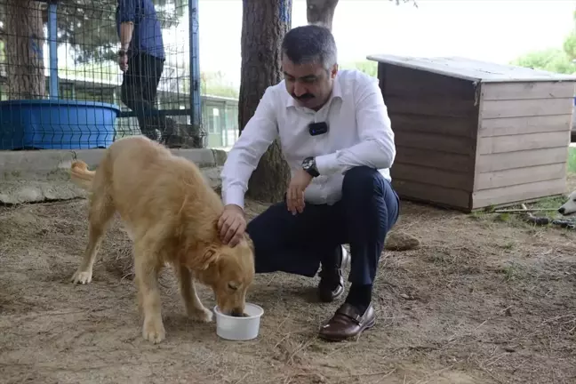 Bursa'da Atık Yemeklerden Mama Üretimi Yapılıyor
