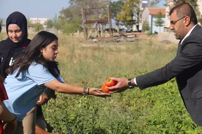 Aksaray'da bir lisenin bahçesinde öğrenciler tarafından ekilen sebzelerin hasadı yapıldı