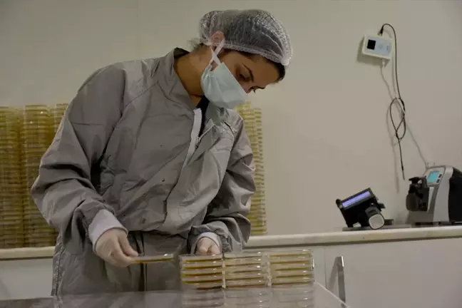 Erzurumlu girişimci devletten aldığı desteklerle işini geliştirip medikal ürün ve laboratuvar malzemesi ihracatını ve istihdamı artırdı