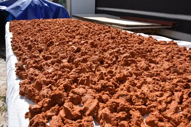 Antalya'nın Korkuteli ilçesinde yapılan Yelten tarhanası kış aylarının vazgeçilmez lezzeti