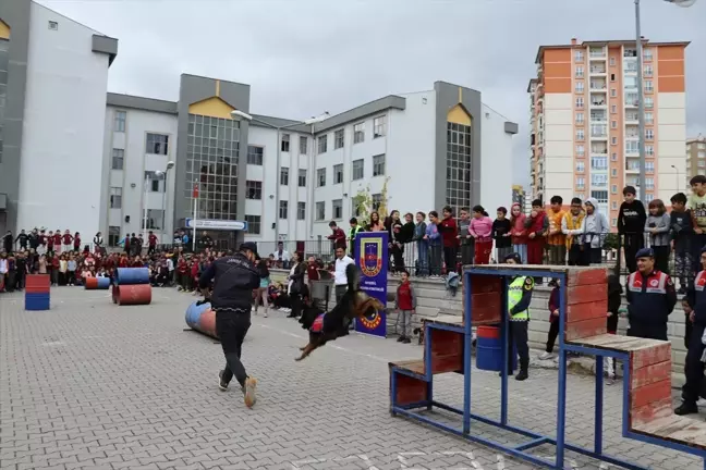 Jandarmadan öğrencilere hayvan sevgisi ve hakları eğitimi