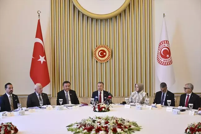 TBMM Dışişleri Komisyonu Başkanı Fuat Oktay, Türk Devletleri Teşkilatı (TDT) üyesi devletlerin büyükelçi ve temsilcileriyle görüştü