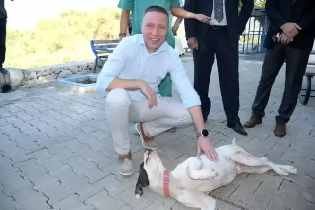 Milas Kaymakamı Hayvan Barınağını Ziyaret Etti