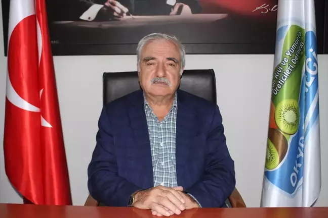 Ordu Kivi Üreticileri Birliği Başkanı: Kivi Fiyatları Açıklandı
