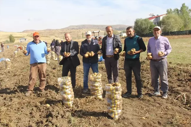 Sivas'ın Zara ilçesinde patates hasadı başladı