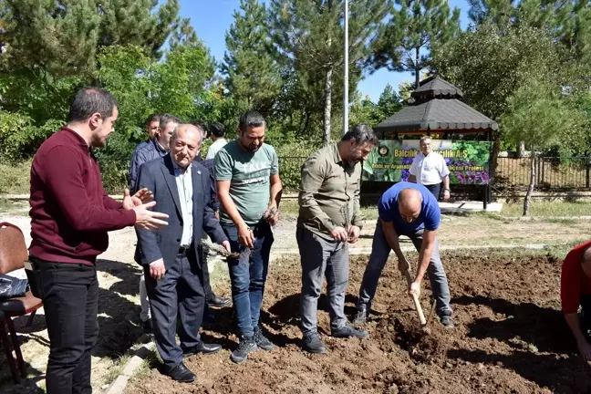 Bitlis'te tıbbı aromatik bitkilerin yetiştirildiği bahçe oluşturuluyor
