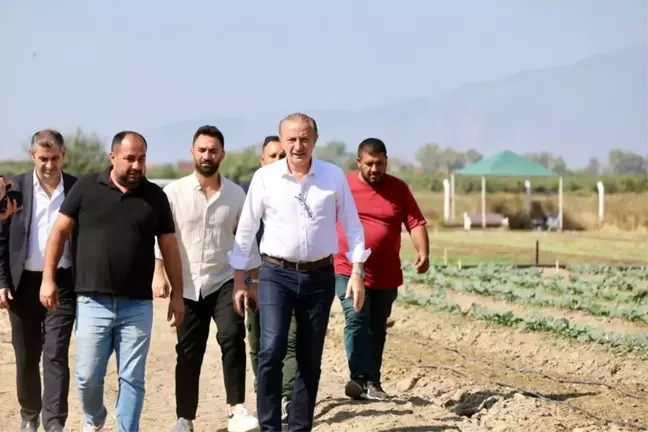 Didim Belediyesi Tarlasında Kışlık Sebzeleri Ücretsiz Dağıtacak