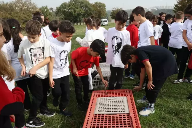 OMÜ Kurupelit Yerleşkesi'nde 500 Sülün ve Kınalı Keklik Salındı
