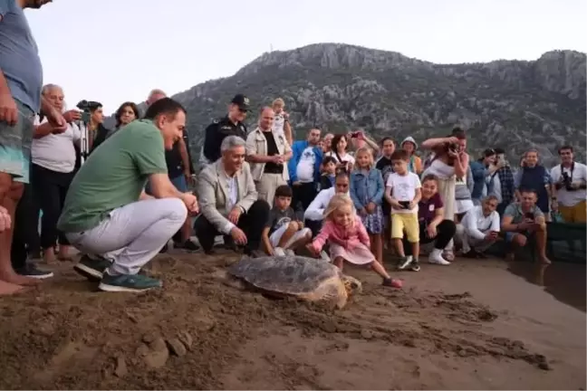 İztuzu Plajı'ndaki Deniz Kaplumbağaları Tedavi Edildi
