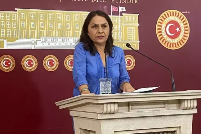 HEDEP Milletvekili Özgül Saki, tutuklu yazar Celalettin Can'ı ziyaret etti